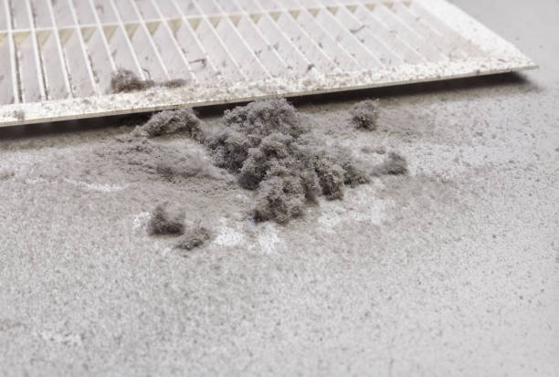 Best HVAC Air Duct Cleaning  in Brighton, AL
