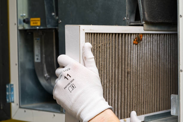 Best Air Duct Cleaning Near Me  in Brighton, AL