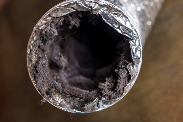 Best Ductwork Cleaning Services  in Brighton, AL