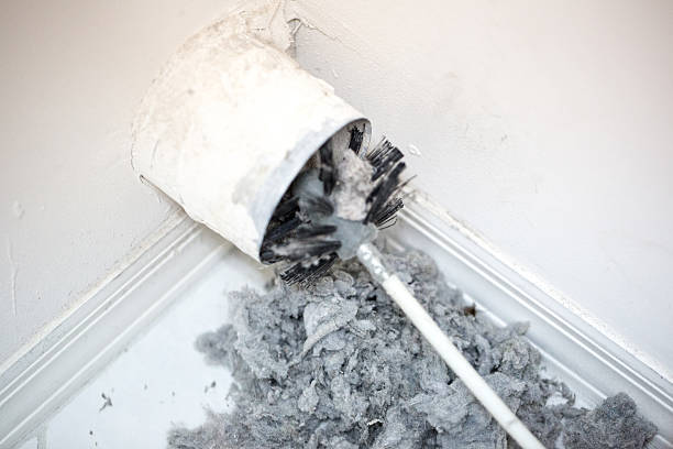 Best HVAC Duct Inspection Services  in Brighton, AL