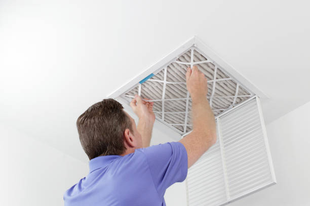 Best Local Air Duct Cleaning Services  in Brighton, AL